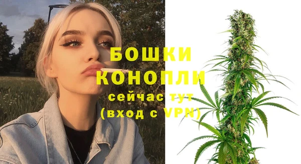 ПСИЛОЦИБИНОВЫЕ ГРИБЫ Балабаново