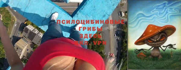 ПСИЛОЦИБИНОВЫЕ ГРИБЫ Балабаново