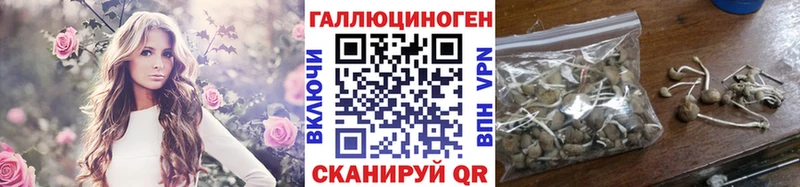 Галлюциногенные грибы прущие грибы  цены   Озёры 